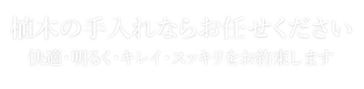 一般宅・法人宅の植木の手入れ